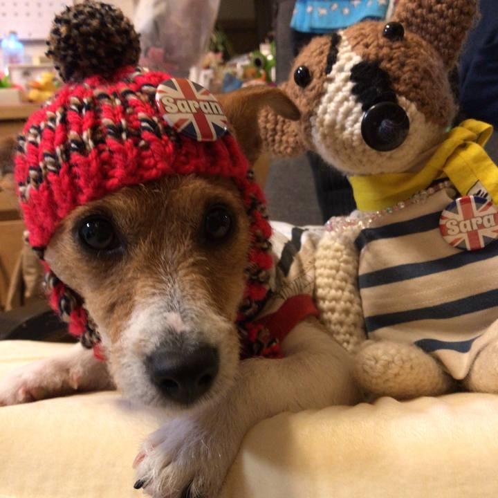 23a369de d474 4713 a8dd b5ced5df824b 1570693870033