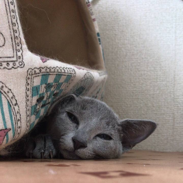 23a39ace c677 4507 aa17 5811a8660c7e 1546851441843