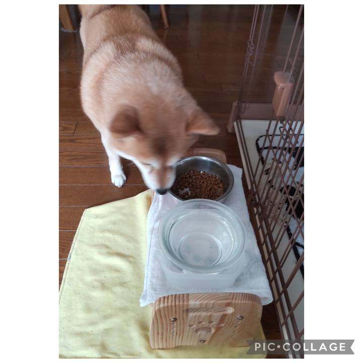 23a3d181 4673 4547 b840 380150af6cf6 1774690860990