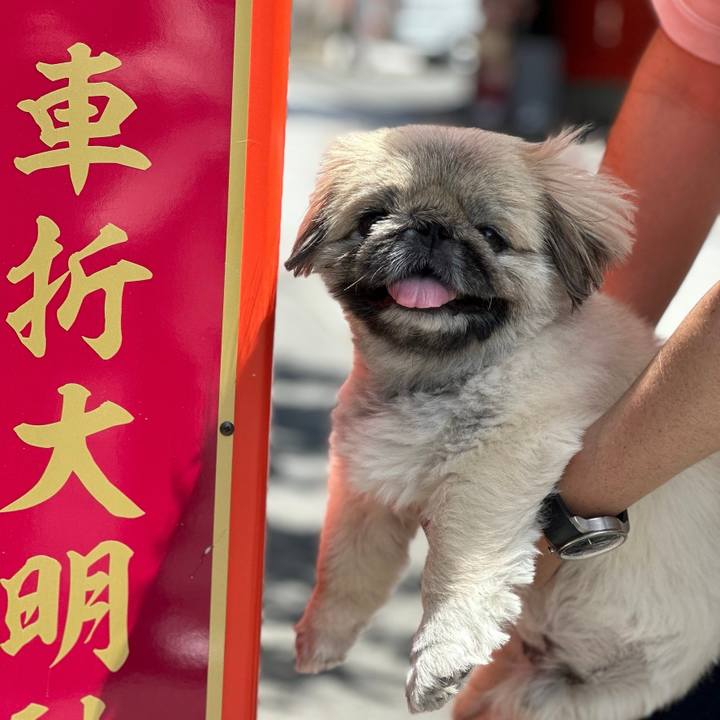 23a3de34 e7bd 4a7b 8e6c d78c3ed2fdf6 1718075965843