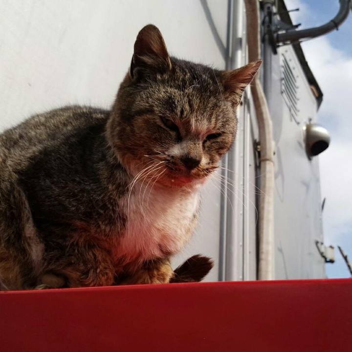 23a3f52d 1f2d 45de 861c 5230340f9ed8 1519398203644