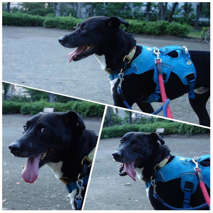 23a43356 d9b3 405b befe 821d37672d66 1622285276309