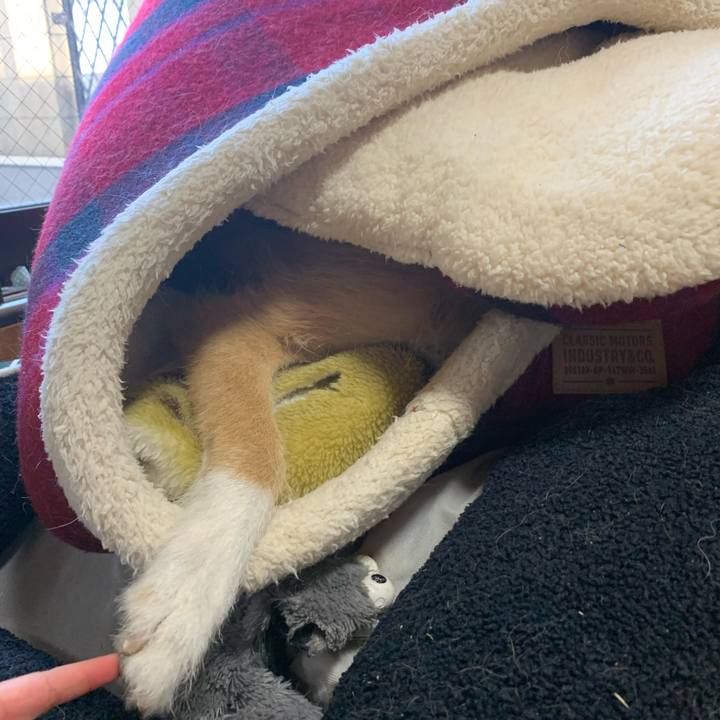 23a43844 d5ec 4e25 b55b 9ffed148f424 1674452875015