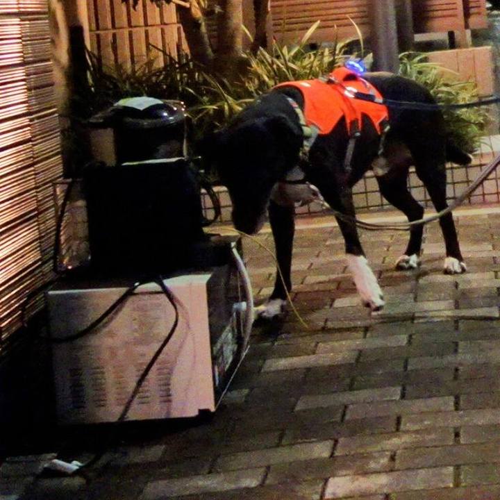 23a441ba b251 4e89 9f04 ae531872e8b5 1731149651977