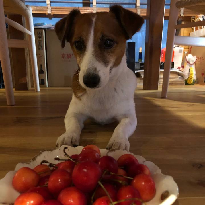 23a4542b cd88 4021 a287 34762f0d622a 1530577606546