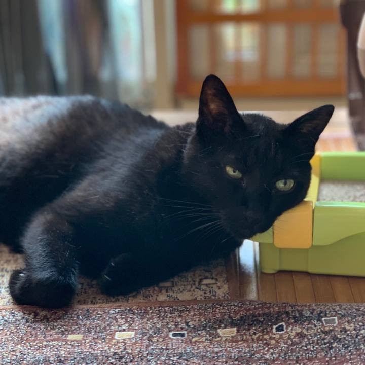 23a45bc2 03dd 493c bc42 a5aac3c2519f 1560042822963