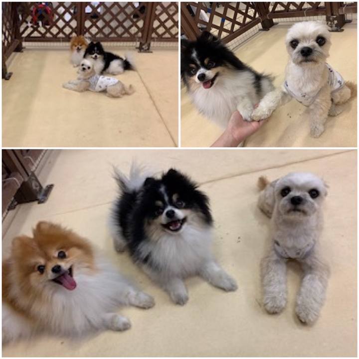 23a45bc4 d61b 460e 94fa e578bc58f402 1558347827207