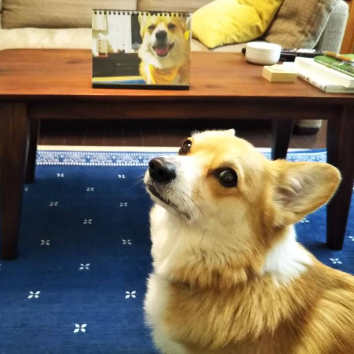 23a46698 6f4e 4566 bd2c b06ca7762ff4 1551417784622