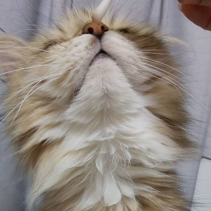 23a49ed5 3672 4c8e b428 e8045d395ec9 1624540177329