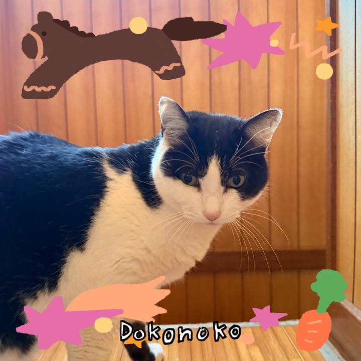 23a4ad57 5ca9 494d 9780 1d81f09ff631 1772069093345