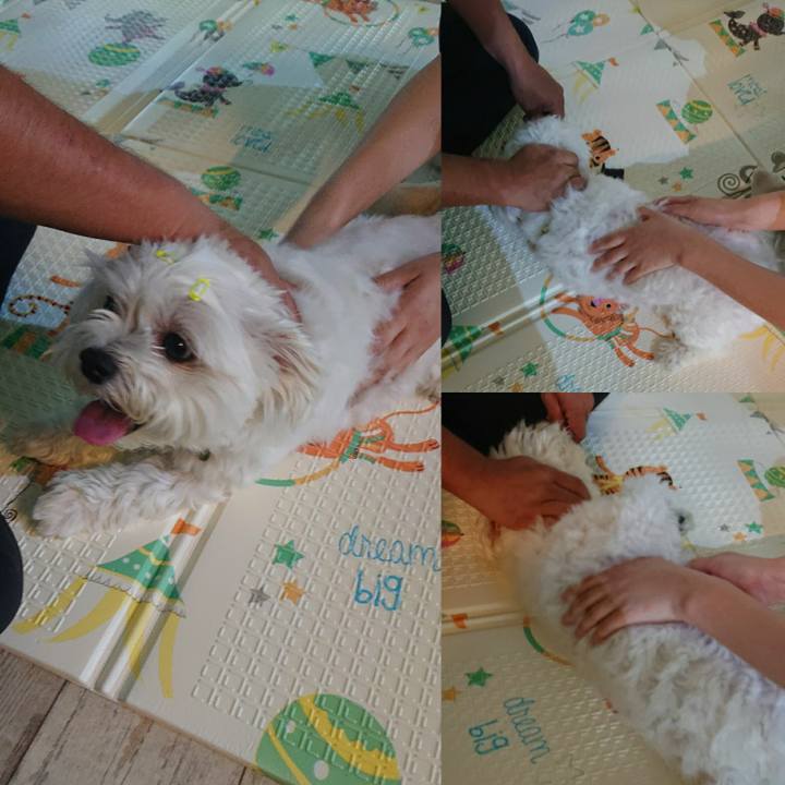 23a4f5ec c5f5 4c78 a9b3 ddd645e17123 1563596352170