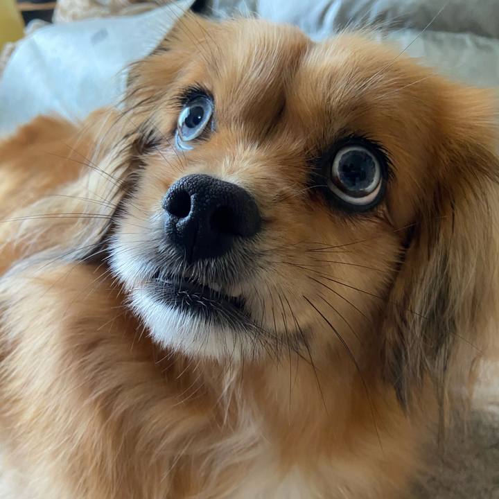 23a4fef0 b8d1 43d2 858a 22f1e112e5f5 1611523207421