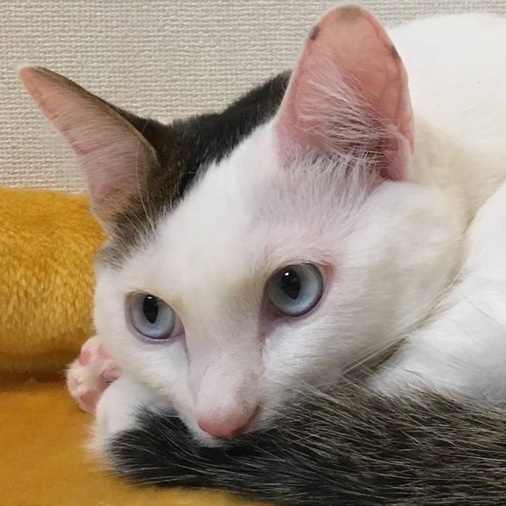 23a52868 8ac3 4008 a7f9 0de8f3732926 1509753023124