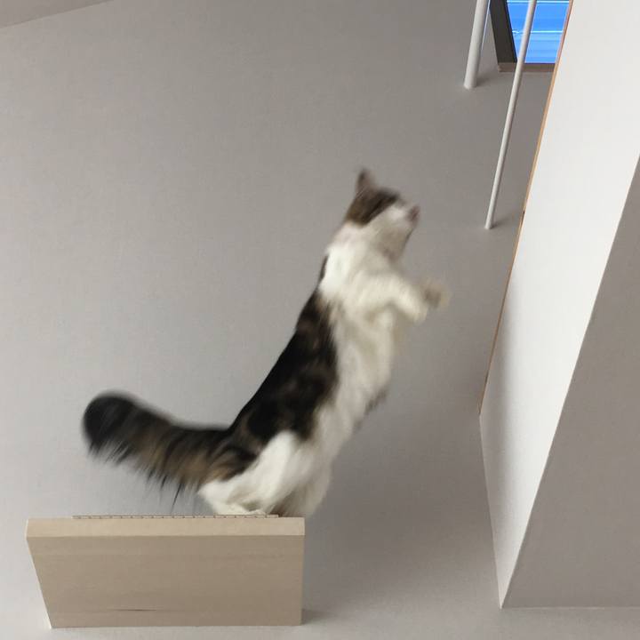 23a55adb 02fc 45b4 804b afb4e4eb1add 1536378875315