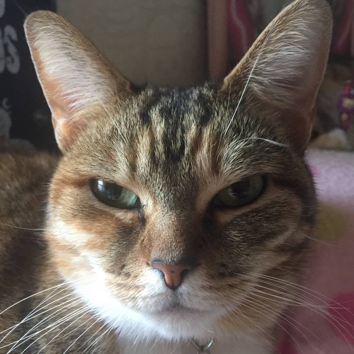 23a5629b ba45 4b2b a7a0 e8113cbdd8ee 1550025528804