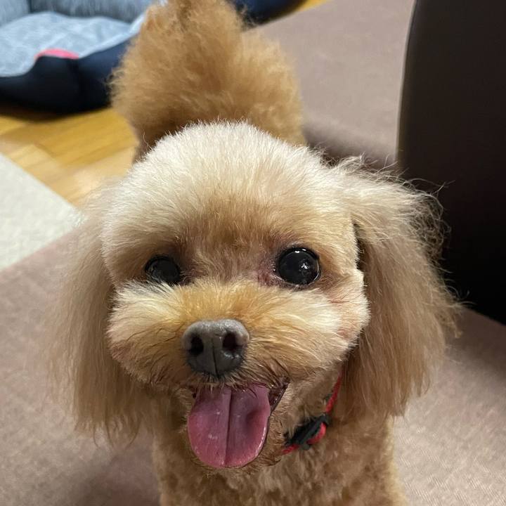 23a56bd2 3eab 4cf8 9535 005147317c30 1727499716972