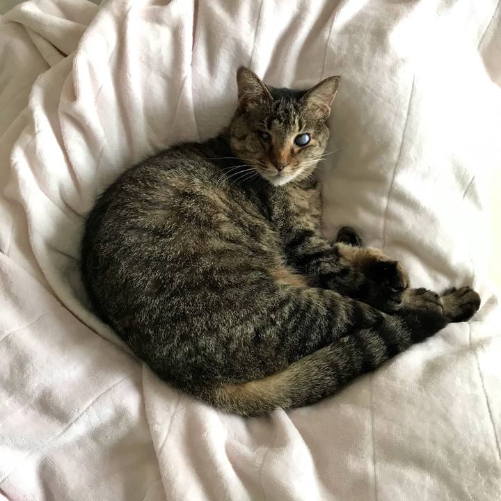 23a57ef7 5805 4c45 9a54 e2aeb7dadca2 1625971761589