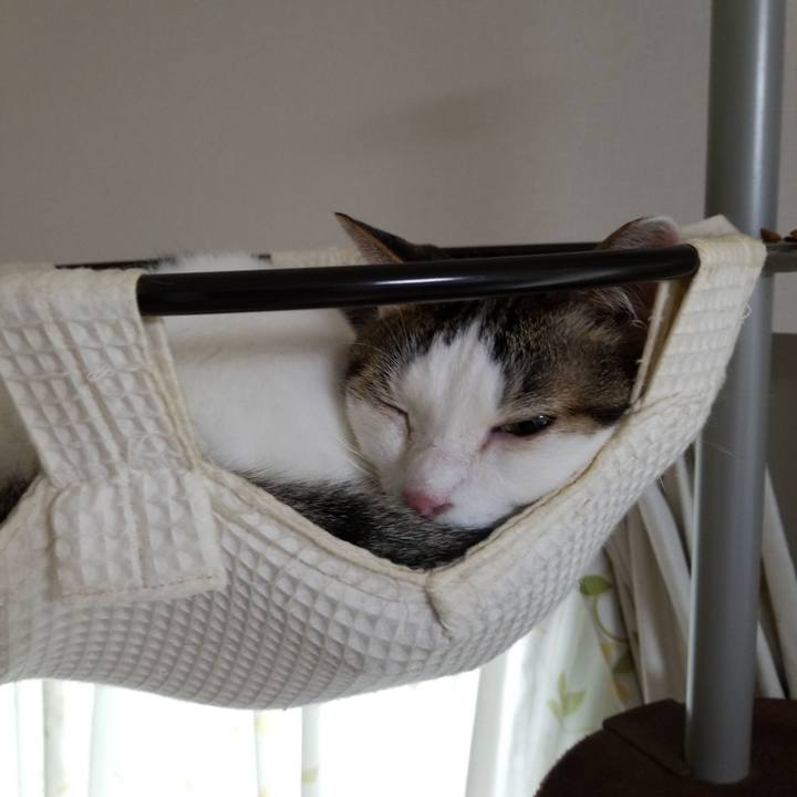 23a5971c 98f0 4765 8d91 3fe4fcb67508 1590011032559