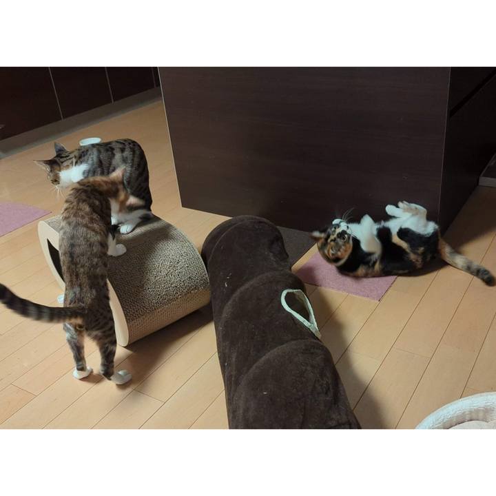 23a5b729 ce60 4684 a2b4 7f3fe5a97391 1734677468126