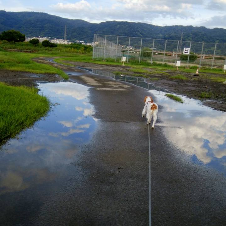 23a5ba27 76f9 4d11 a30c f30c74abe760 1534246134673