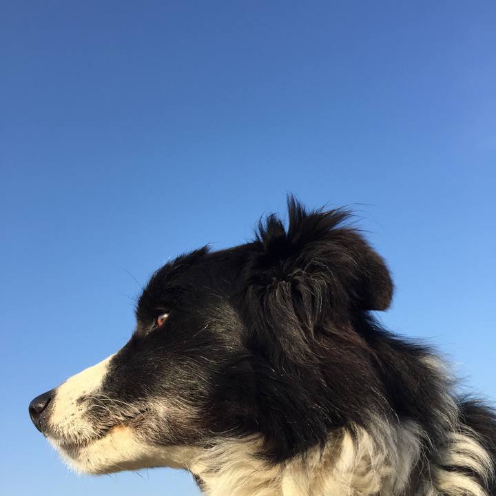 23a5f340 a616 4d6f b750 21e292344761 1548373778477