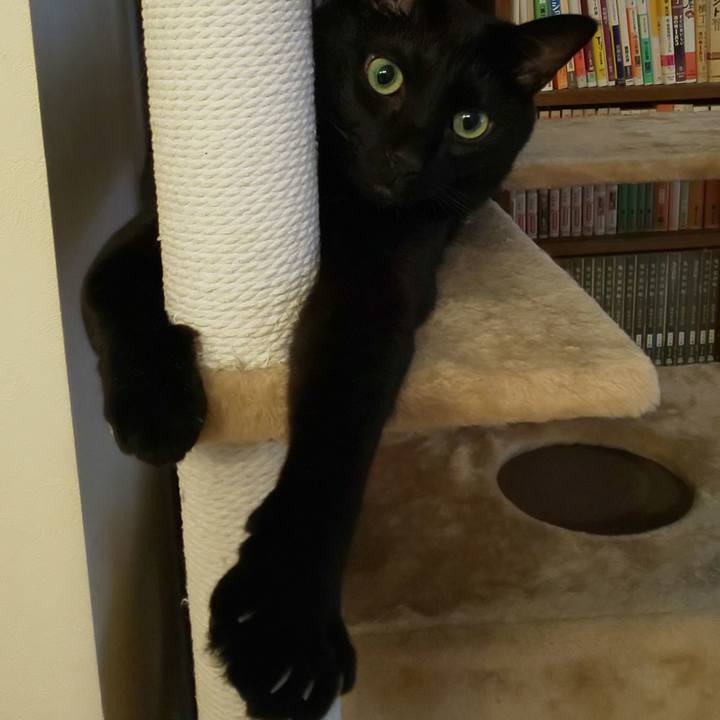 23a5fe23 0e3c 498f a325 72c8fc05f615 1662259176671