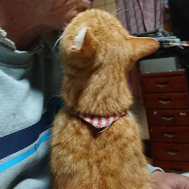 23a60171 a9fd 43eb b8ae 01e7a38736d0 1607025015147