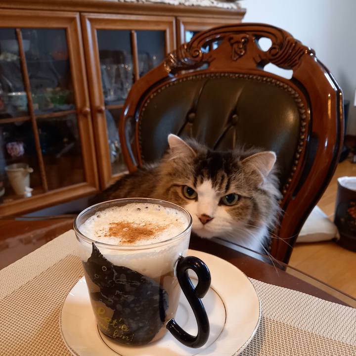 23a6019a 51c1 437b 8b35 132b5c1469b9 1610431528854