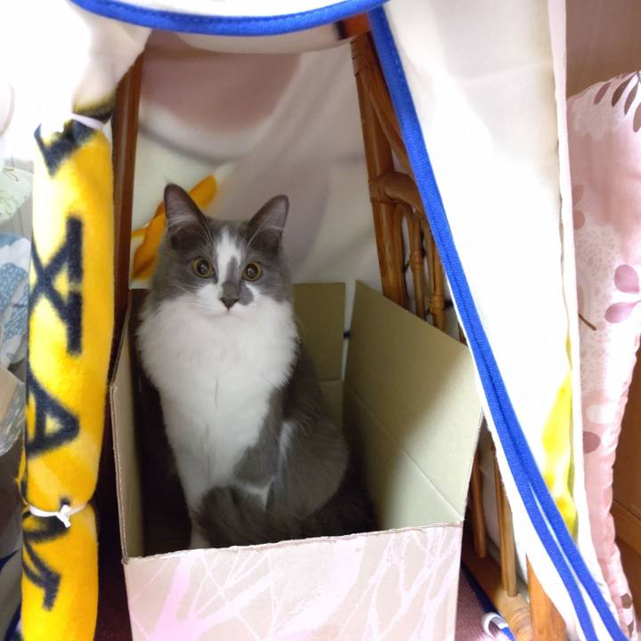 23a635b6 ee4f 4c49 80e3 661d171cd427 1576299185195