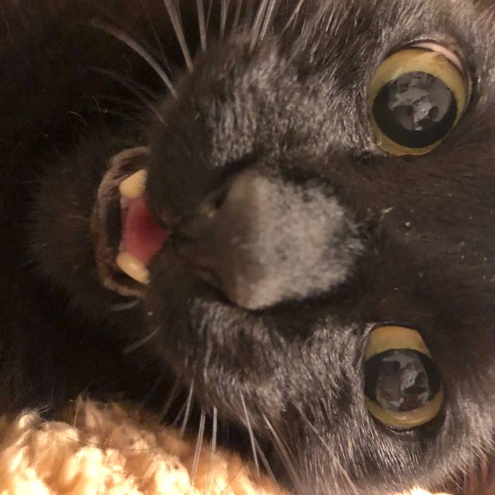 23a639bf 3b30 44ff bcf6 d22df7c20f8e 1529156130997