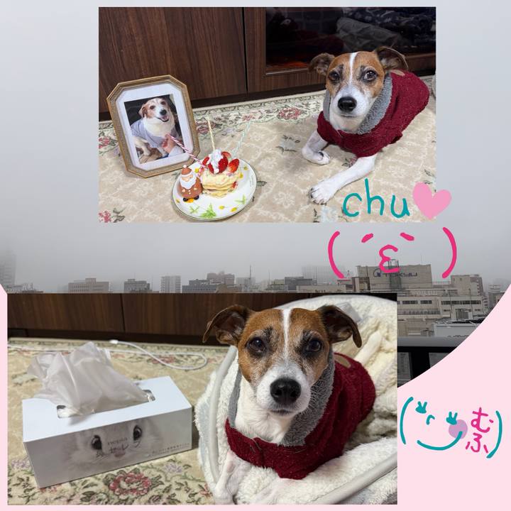 23a646d8 89e0 4a1a 887e 33f15ad08127 1766619534666