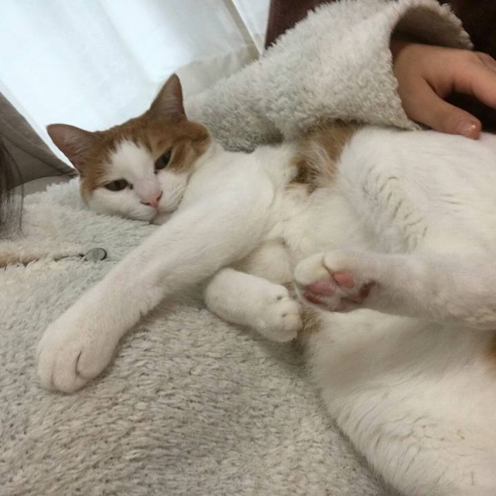 23a64d33 0767 4db3 9291 f4b92252619b 1508023480059