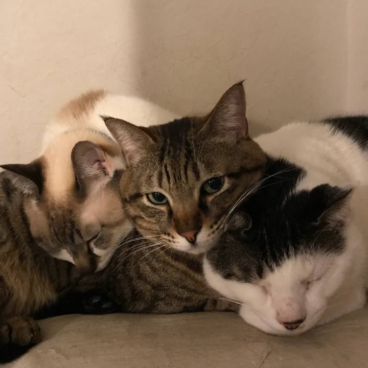 23a658a3 6cc2 462f 9c0e b087243c86a6 1516351118840