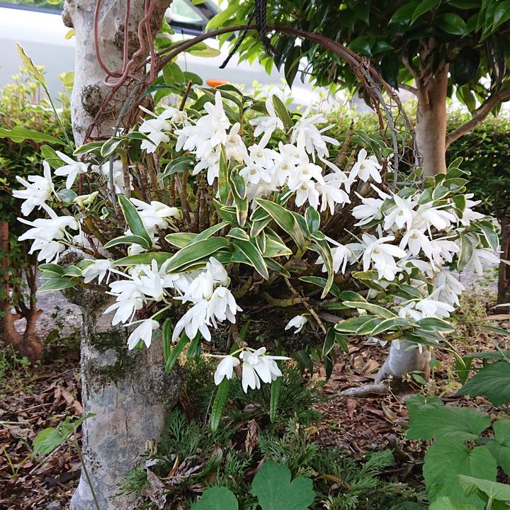 23a66664 ab8b 4194 a091 0d127c2126d1 1620001558448