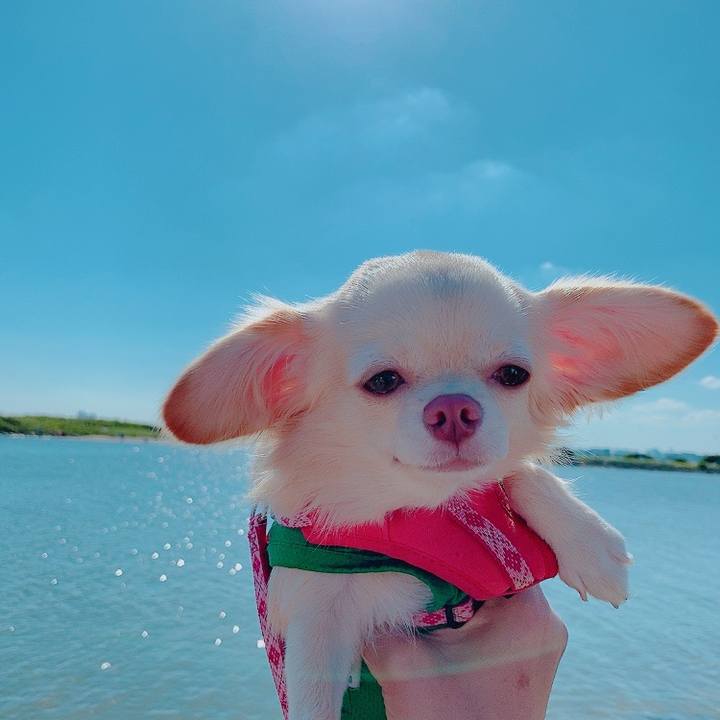 23a66bab 8c7f 4b52 b983 cb13657f35c0 1632131683484