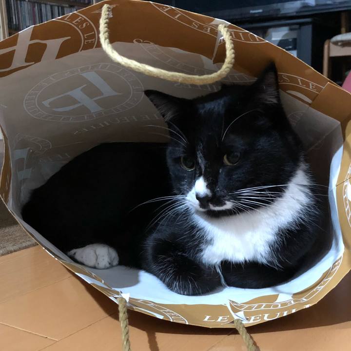 23a67ce4 fdb1 490c a2e5 8a7bfdb09538 1636428739369