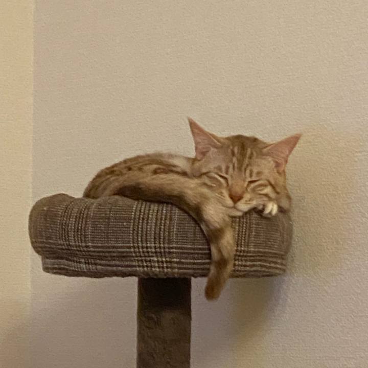 23a67f04 e0b4 4e9d b2e5 220dfe15521e 1646654500164