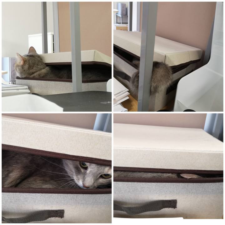 23a6a211 defa 47ef bcc8 c12437bd9b6a 1571107762505