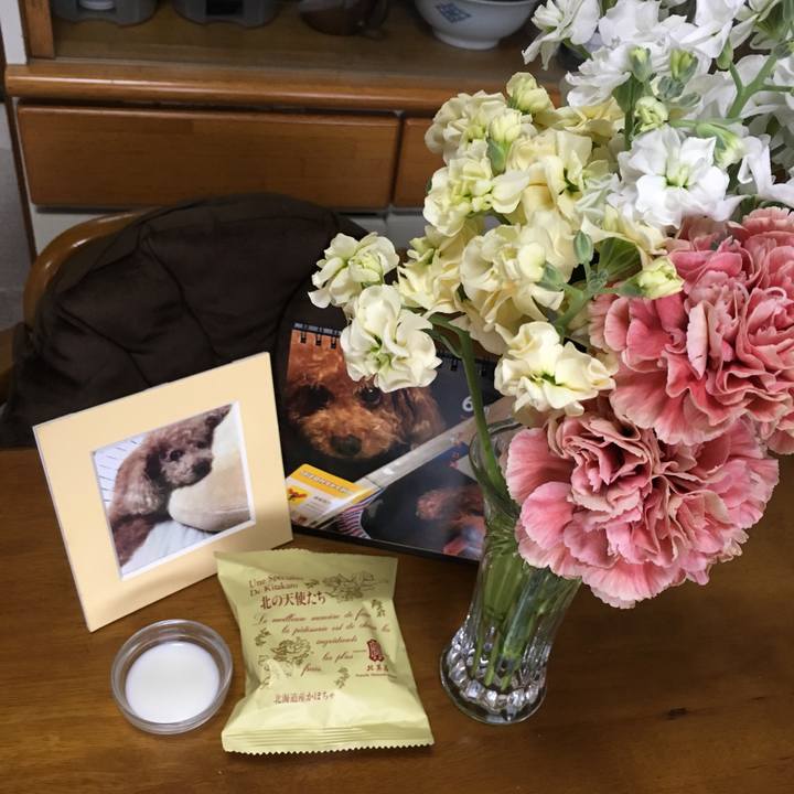 23a6edde 07a4 4c58 99d1 a96c6fbec33c 1591148176476