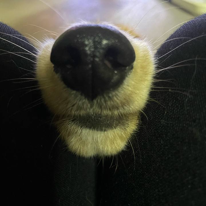 23a70441 d19f 43b5 9ce9 3655482d7edd 1690976070359