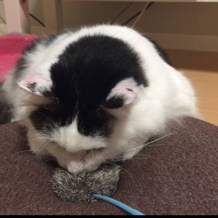 23a75015 deec 418e a0bd 55b75f6b879d 1517729614718