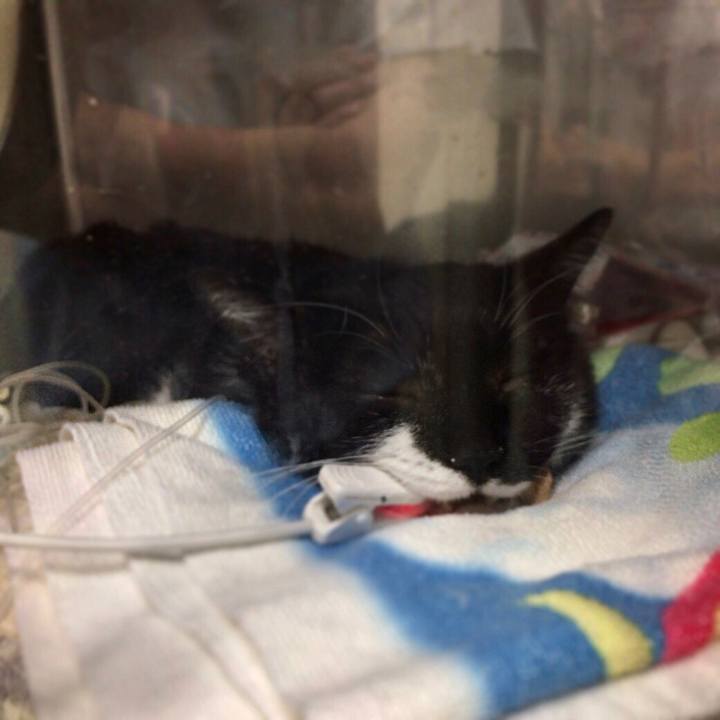 23a75b7f d3e6 44ce 9a19 391bd29ef994 1594833368948