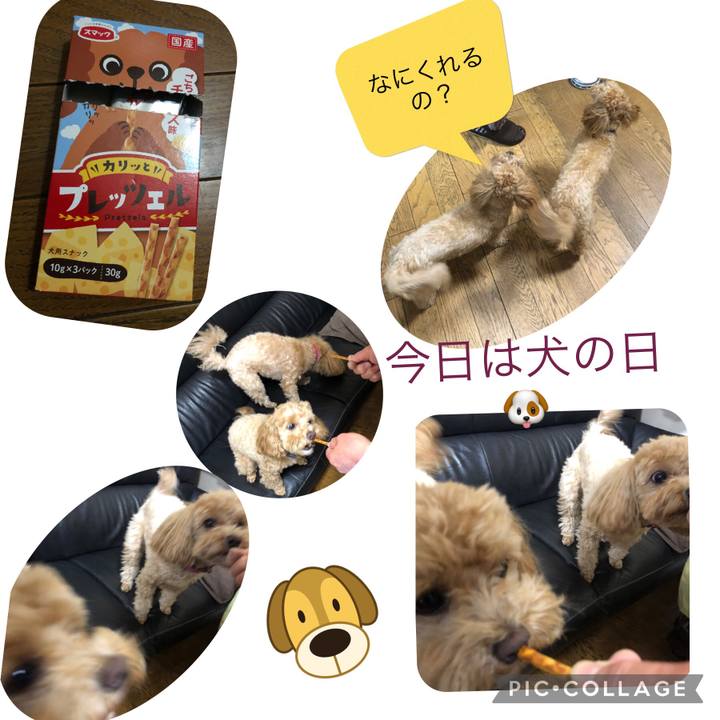 23a7c5d9 e5e2 46f8 b6f1 85cd331acffa 1644581666808