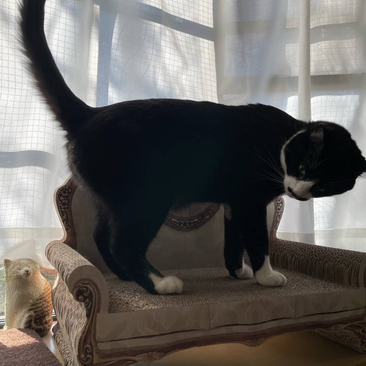 23a7ce60 6d14 4d4a ac56 9089ce40fd27 1677886441463