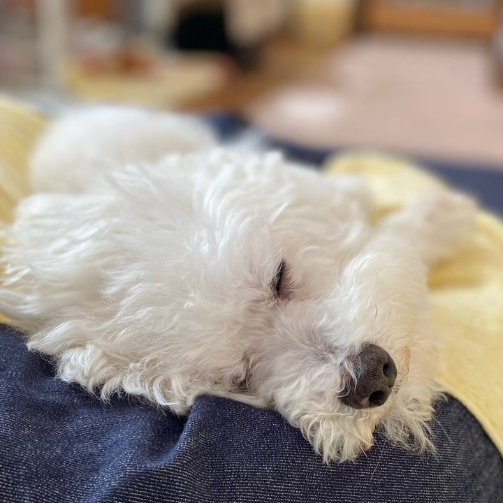 23a7f686 fd7f 4f32 a0b1 eaef1cb56a13 1612495713068