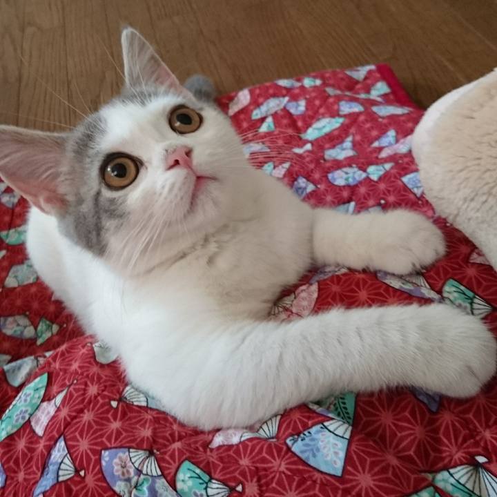 23a80f4f 7b30 40a3 aece e1ad5360491c 1531264398341