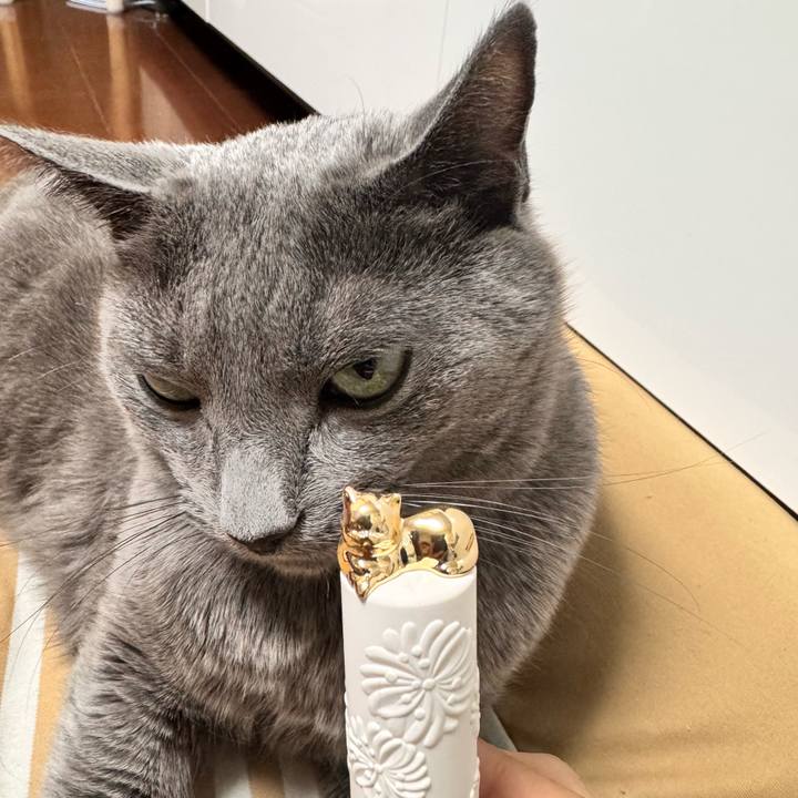 23a8105e 5bc1 4469 b12a 49853004f079 1764158568747