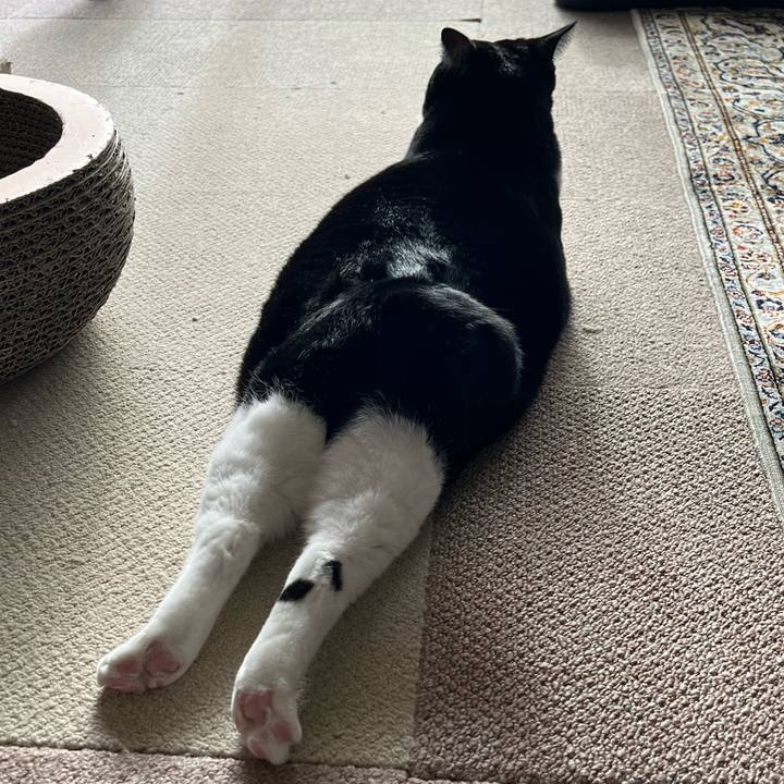 23a81376 e177 41df b647 bb0a89b7a656 1764374302248