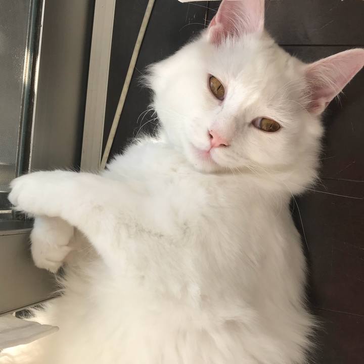 23a84f19 840c 4b8f 8450 0802642e612b 1520982224859