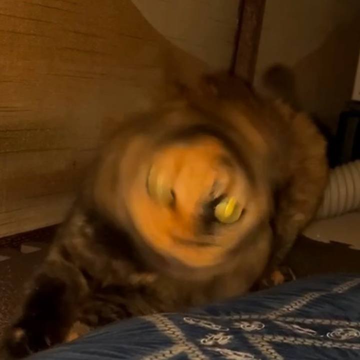 23a89628 5593 4d8c 8ee5 f1e313511941 1757795425087